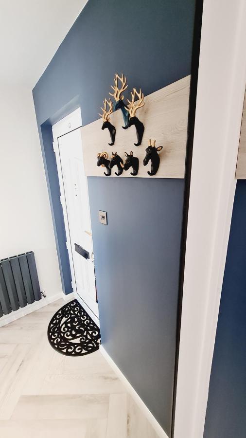 Beautiful 2Bed House With Garden, Walking Distance To Town - Free Parking Apartment Глазгоу Екстериор снимка